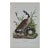 Canada Goose: An Original 1st Edition Hand Colored Audubon Bird Lithograph, 1840 For Sale