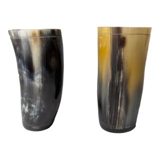 Pair of Rustic European Horn Vases For Sale