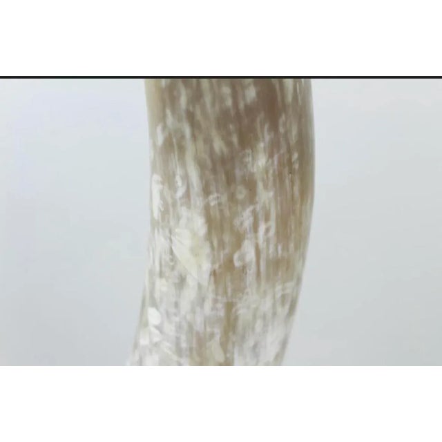 Brown 1990s Lucite Mounted Steer Horn For Sale - Image 8 of 9