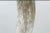 Brown 1990s Lucite Mounted Steer Horn For Sale - Image 8 of 9