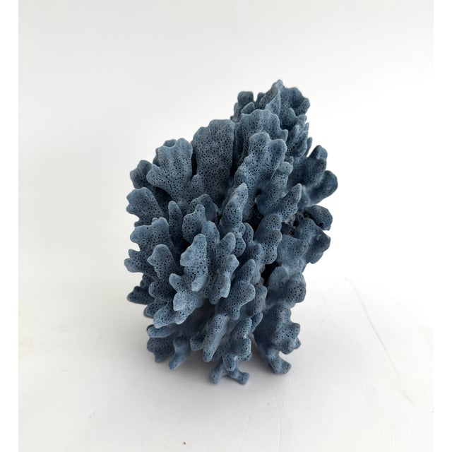 Chinoiserie Natural Blue Coral Specimen For Sale - Image 3 of 8