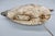 Vintage Folk Art Wooden Working Duck Decoys With Anchor Weights - Pair For Sale - Image 9 of 17