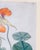 Orange 18th Century German Hand Colored Botanical Copper Engraving Print of Nasturtium For Sale - Image 8 of 12