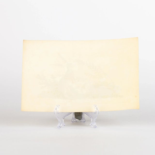 E. Donovan & F.C. & J. Rivington, Nature Illustration, Aug 1820, Hand-Colored Copperplate Engraving For Sale - Image 6 of 7