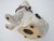 White Staffordshire Style English Spaniels Cavalier Comforter Dogs For Sale - Image 8 of 11