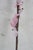 4 Mid Century Pink Glass Cherry Blossom Flower Arrangement Stems 19" For Sale - Image 6 of 8