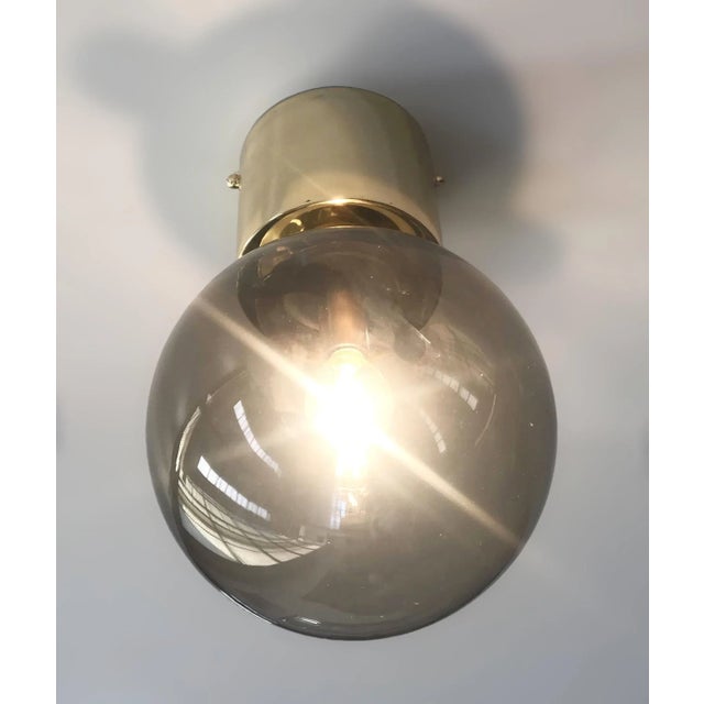 Fabio Ltd 21st Century Italian Uno Polished Brass and Smoky Murano Globe Flush Mount by Fabio LTD For Sale - Image 4 of 6