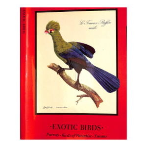"Exotic Birds: Parrots. Birds of Paradise. Tucans" Book 1963 Levaillant, Francois
