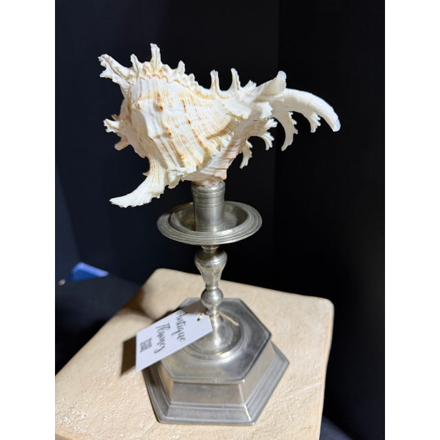 Traditional Celestial Meets the Sea Godinger Candlestick-Coastal Art Sculpture For Sale - Image 3 of 7