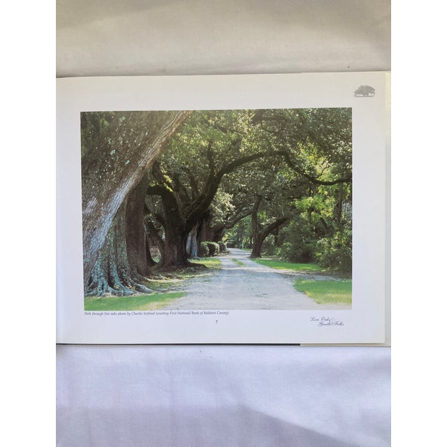 Illustration Live Oaks & Gentle Folks / a South Alabama Cookbook For Sale - Image 3 of 6