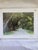 Illustration Live Oaks & Gentle Folks / a South Alabama Cookbook For Sale - Image 3 of 6