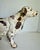 Cream 1930s Hubley Attributed Cast Iron English Setter Dog Doorstop For Sale - Image 8 of 12