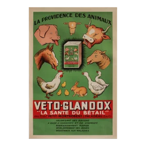 1920s French Art Deco Agricultural Poster - La Providence Des Animaux: Veto-Glandox, "La Santé Du Bétail"