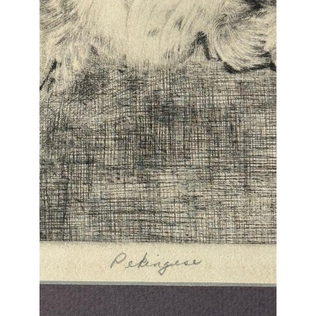 Mid 20th Century Don Swann ( 1889-1954 Us) Signed "Pekingese" Etching #48/250 LTD Ed Print Framed For Sale - Image 5 of 9