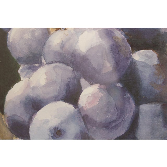 Fruit Still Life Limited Edition Art Print by Eva Ramanuska For Sale - Image 11 of 13