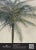 Mind the Gap Cayo Largo Wallpaper Sample For Sale