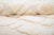 Raised Organic Embossed Hand-Knotted Wool Rug | 11'2" X 6'11" | One of a Kind For Sale - Image 4 of 10