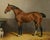 Faithful Friends of the Manor: The Ellesmere Bay and Bulldog Dated 1887 This 1887 oil on canvas by the British animalier...