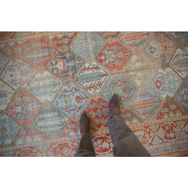 :: Repeating covered field of panels bearing germinating plants and cypress trees arranged in diagonal orientation with...