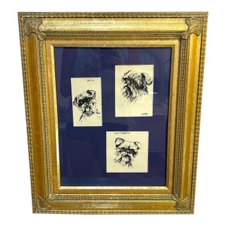 Brussels Griffon Dog Drawings Framed Set of 3 For Sale
