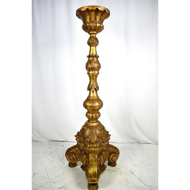 A large pair of continental carved, gilt torchers, 20th century. H 60 in. X w 21 in. X d 12 in. H 152.4 cm x w 53.34 cm x...