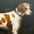 American Mid 20th Century Oil Portrait of a Hound After George Stubbs – Reproduction of the 1788 William Pitt Commission For Sale - Image 3 of 8