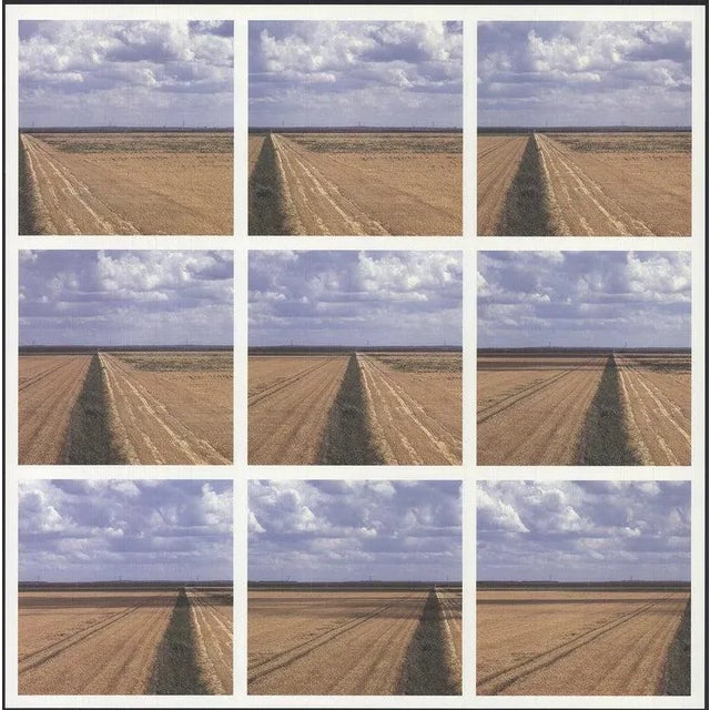 Artist: Ger Dekkers Title: Overview Year: 1994 Signed: No Medium: Offset Lithograph Paper Size: 33 x 23.25 inches ( 83.82...