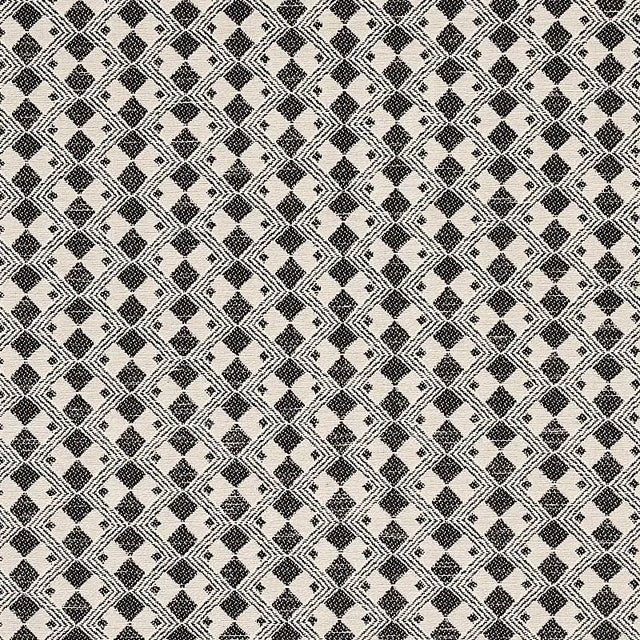 Schumacher Huxley Fabric in Vintage Black For Sale