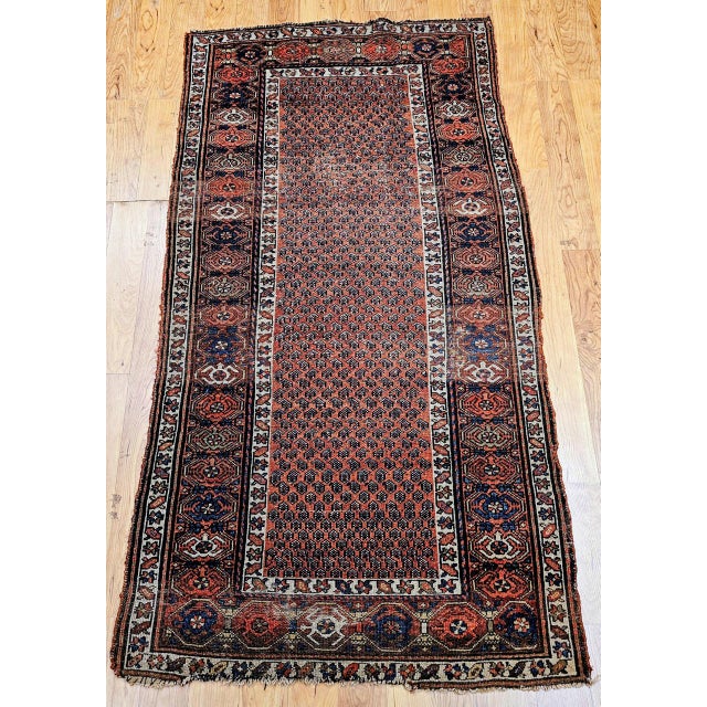 "A charming late 19th century Kurdish area rug hand knotted in an allover design based on a variation on the paisley...