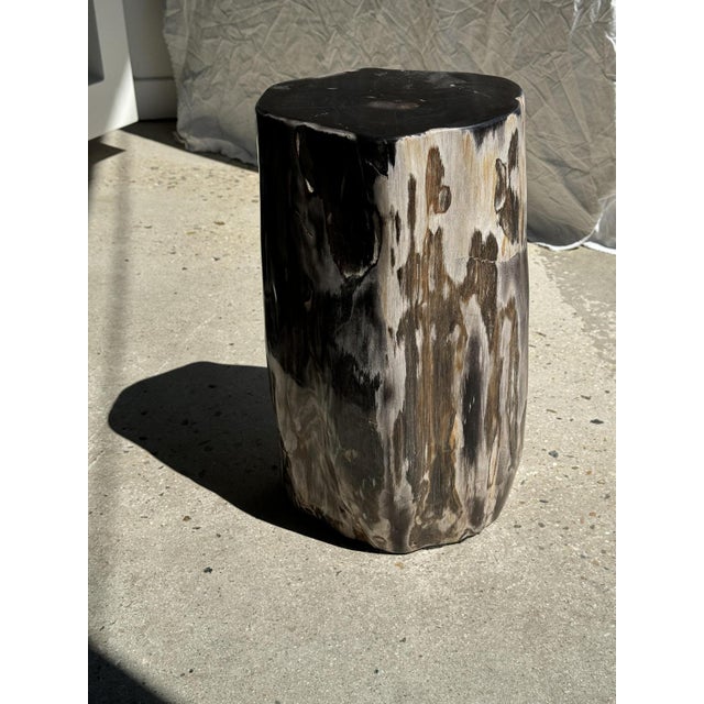 Side Table in Multicolor Petrified Wood with Black Heart For Sale - Image 5 of 18