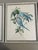 Illustration Collection of 4 Parakeet / Budgies Framed Prints by Artist E. Serton For Sale - Image 3 of 9