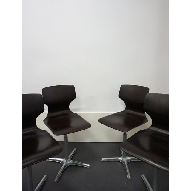 Pagholz Chairs by Adam Stegner for Flötotto, 1970s, Set of 4 For Sale - Image 6 of 11