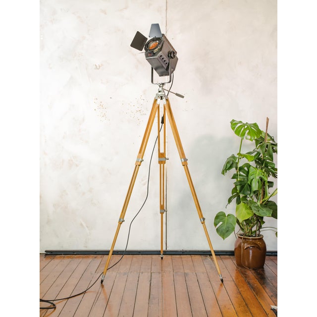 Industrial Studio Spotlight Floor Lamp on Berlebach Wooden Tripod from ADB, Belgium, 1960s For Sale - Image 13 of 15