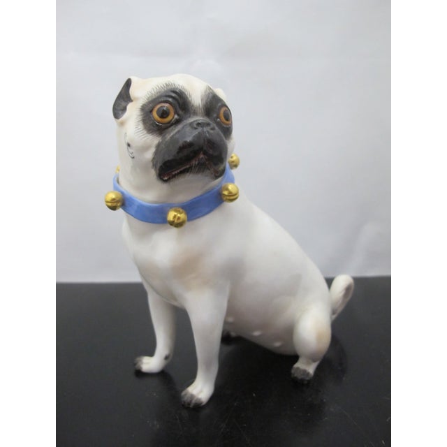 English Meissen Porcelain Pug Dog With Blue Collar & Gold Bells Figurine Statue For Sale - Image 3 of 10