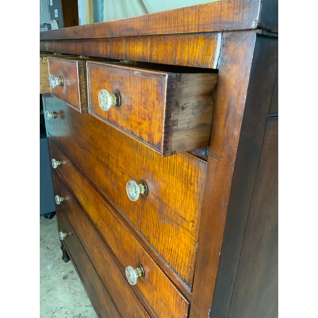Early 19th Century American 19th Century Curly Maple Chest For Sale - Image 5 of 17