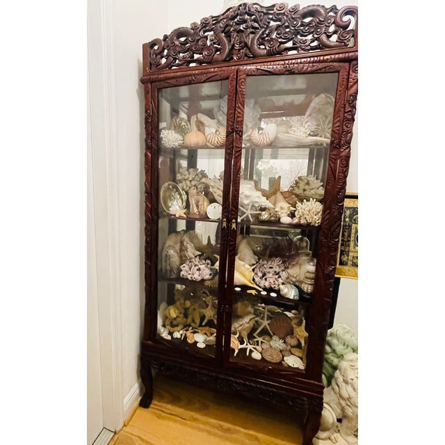 Great selection of Sea world sea shells specimens collection vasen is a beautiful hand carved Antique Chinese rosewood...