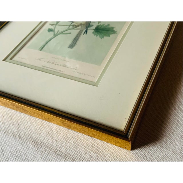 Antique Hand-Colored Lithograph, "The Northern Chickadee"C. 1853 For Sale - Image 9 of 11