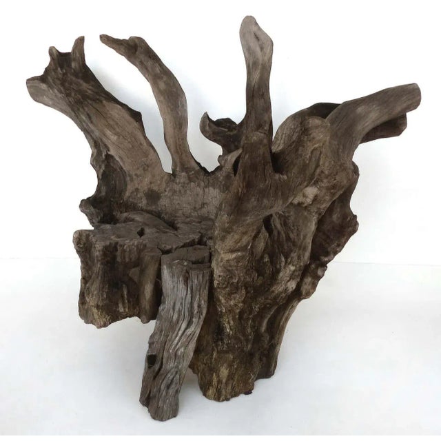 Contemporary Organic Studio Sculptural Tree Trunk Root Chair From Belgium For Sale - Image 3 of 10