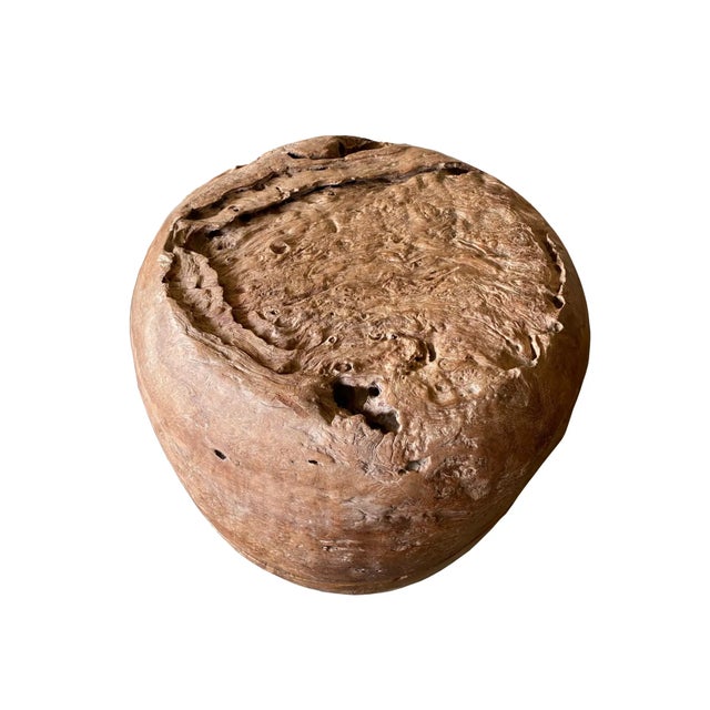 Hand-Crafted Teak Burl Side Table, Organic Design, Indonesia For Sale - Image 6 of 9