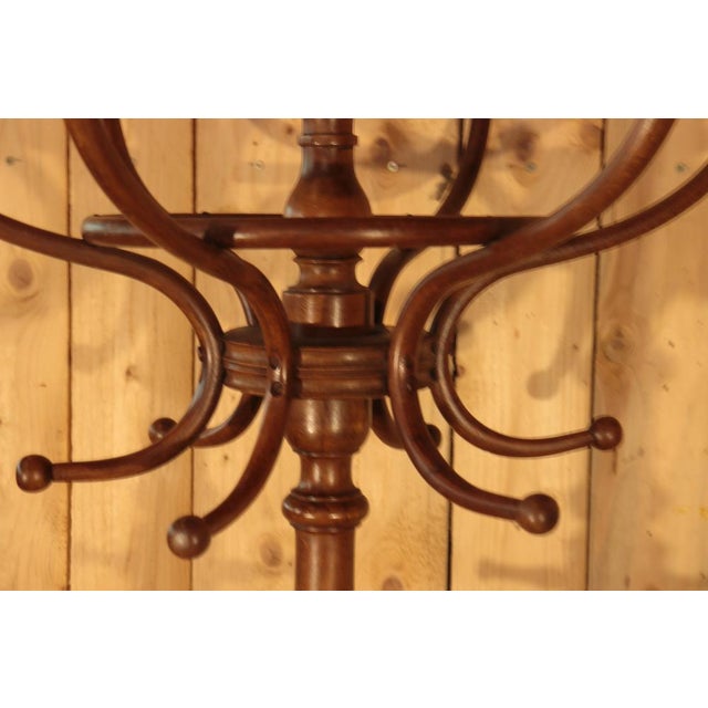 Parrot Coat Rack from Fischel, 1890 For Sale - Image 4 of 12
