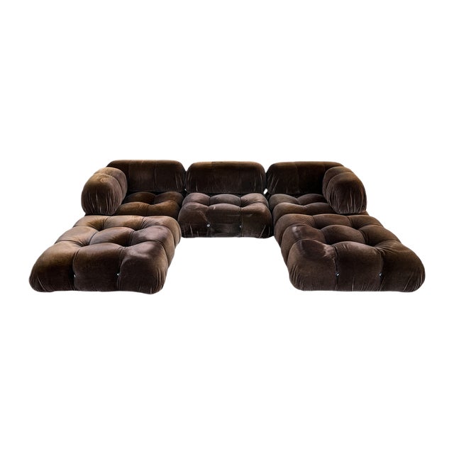 Brown Alpaca Velvet Camaleonda Modular Sofa by Mario Bellini for C&B Italia, 1972, Set of 5 For Sale