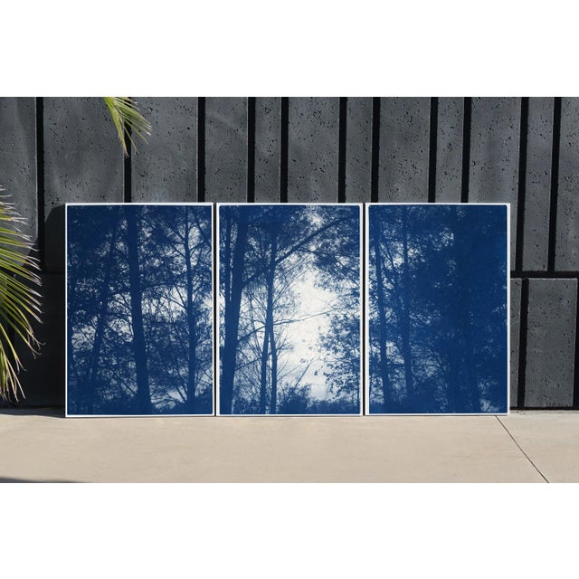 Royal Blue 2021 "Forest Silhouette Sunset" Forest Landscape Cyanotype Triptych Print on Watercolor Paper - Set of 3 For Sale - Image 8 of 8