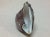 Late 20th Century Murano Italy Art Glass Conch Shell in Cased Aventurine For Sale - Image 5 of 13