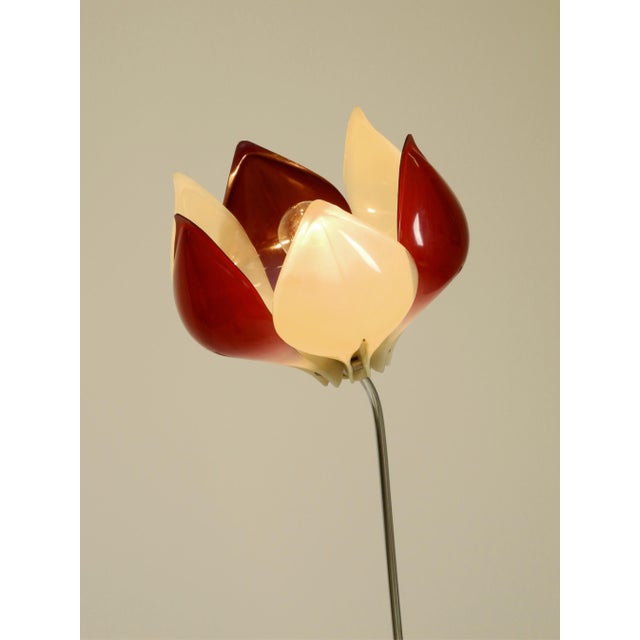 Symanka-Sy 1 Floor Lamp by Günter Ssymmank, Germany, 1959 For Sale - Image 10 of 18