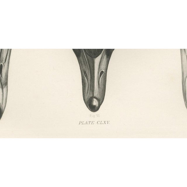 Early 20th Century After Lilian Medland, Heads of the Wild Geese, 1909, Print For Sale - Image 5 of 12