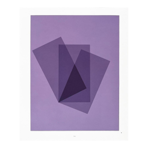 2009 Josef Albers the Interaction of Color Plate X-1