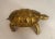 Circa 1970 Turtle Brass Sculpture, French For Sale - Image 10 of 13