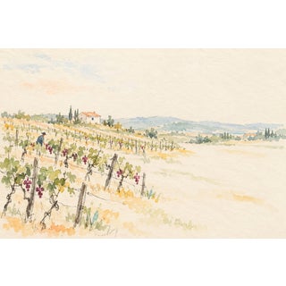 Vineyard Landscape Art Print – Grapevines and Countryside Farmhouse, 54" X 36" For Sale