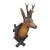 Large Naturalistic Black Forest Carved Deer Head, Ca. 1930s For Sale
