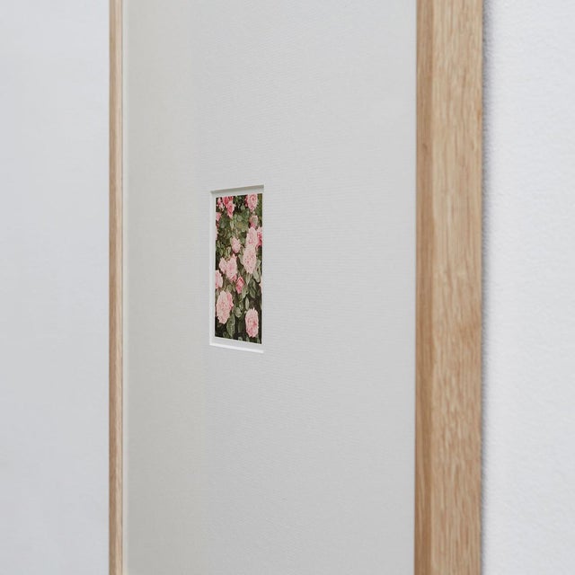 Not Yet Made - Made To Order The Rose Garden Nº 14 Print by David Urbano, 2018 For Sale - Image 5 of 9